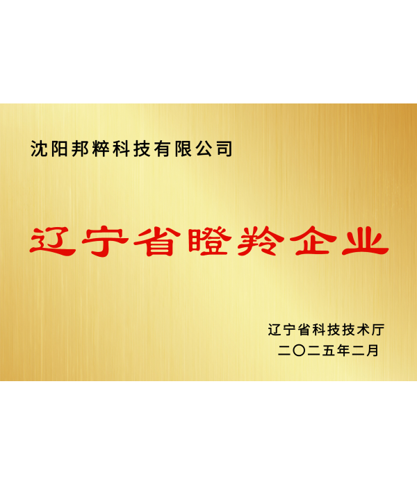 發(fā)展愿景